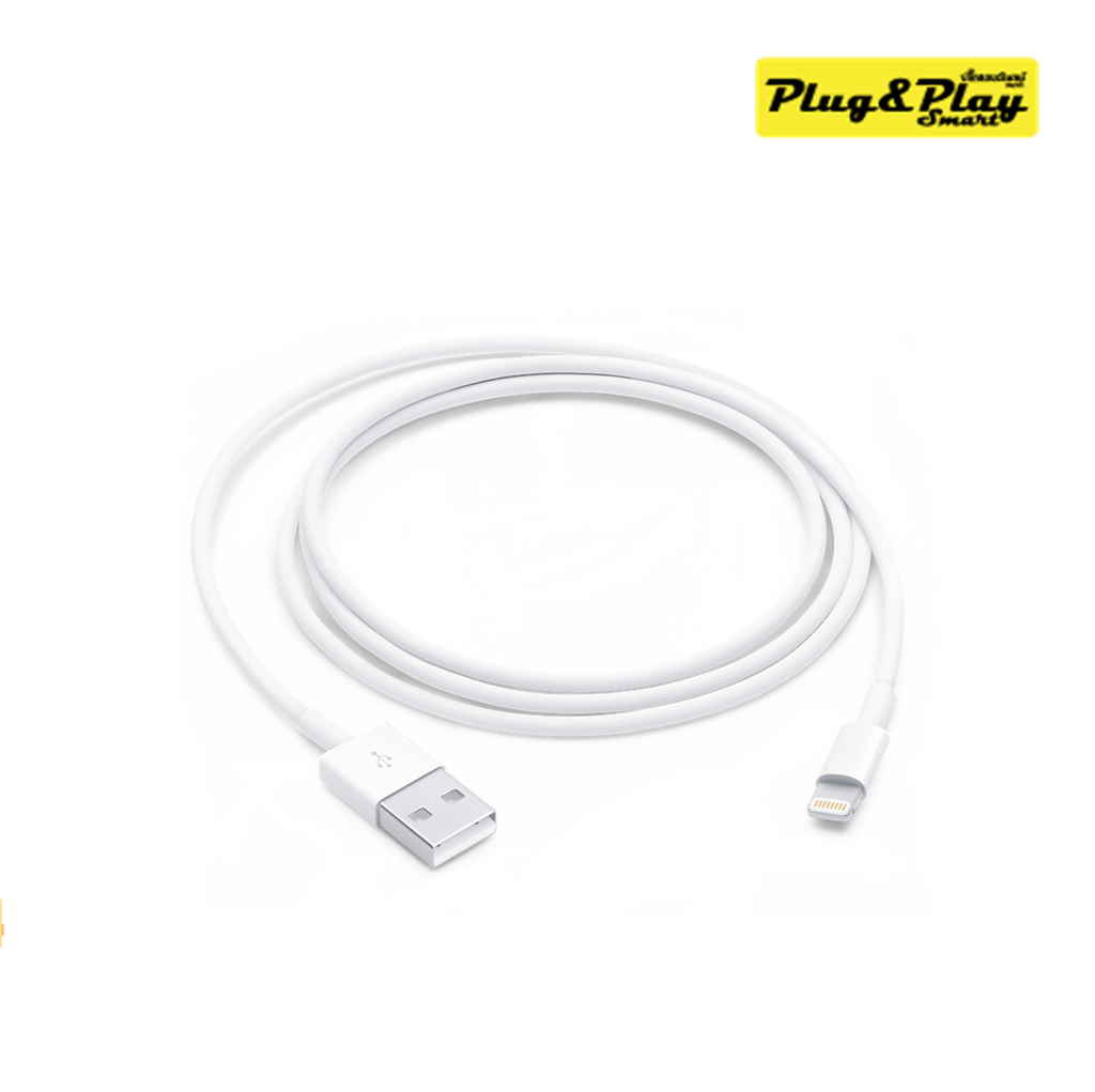 Apple Lightning to USB Cable ( MXLY2ZA/A) :1Y